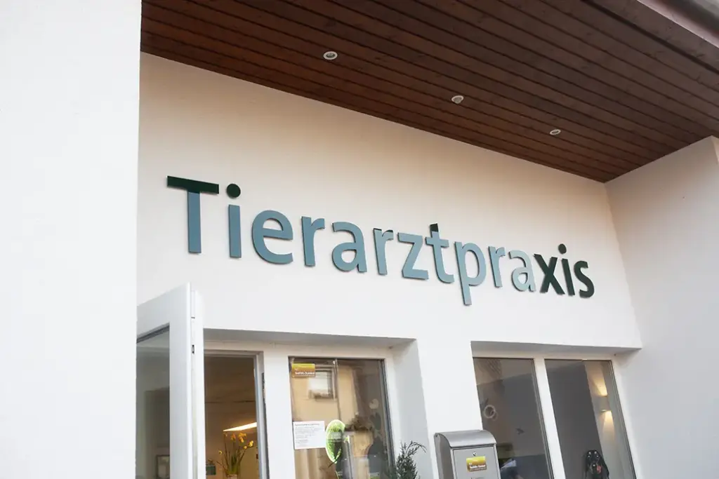Bilder aus unserer Tierarztpraxis Bad Liebenwerda
