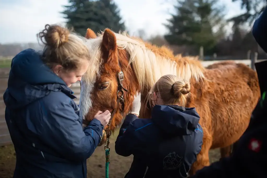 Tierarztpraxis Luckenwalde - Bild einer Behandlung eines Patienten